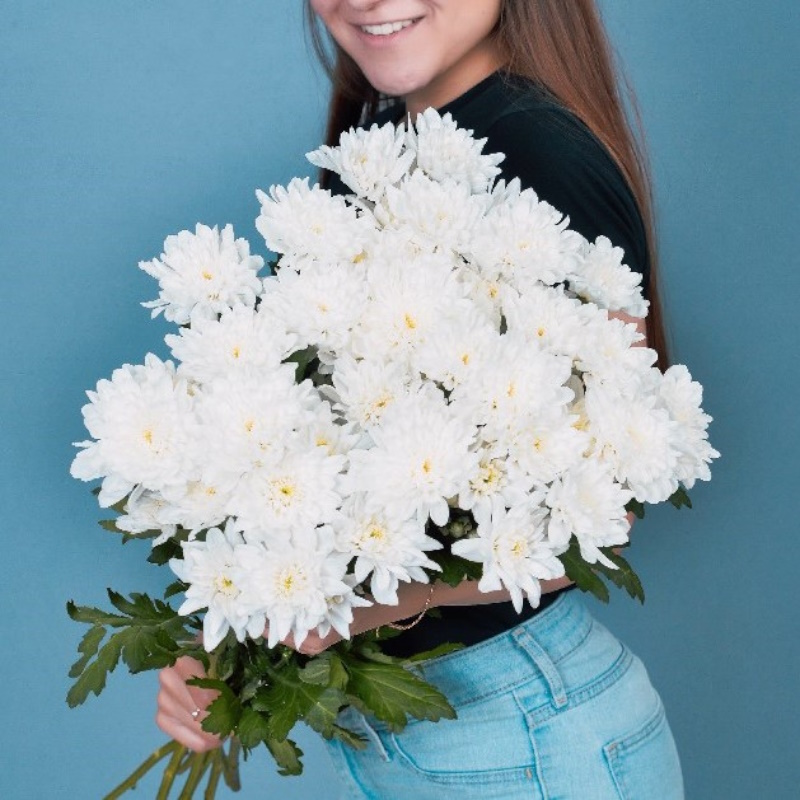 Диантусы и хризантемы