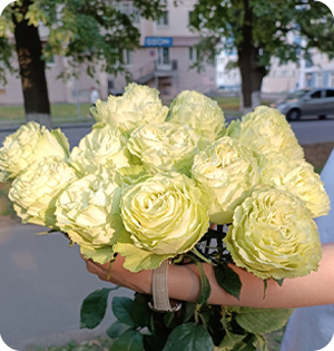 Хризантемы Розы Лилии Гипсофилы