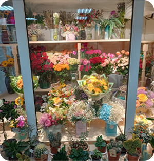 Акции Распродажи