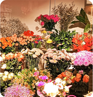 Свежие цветы