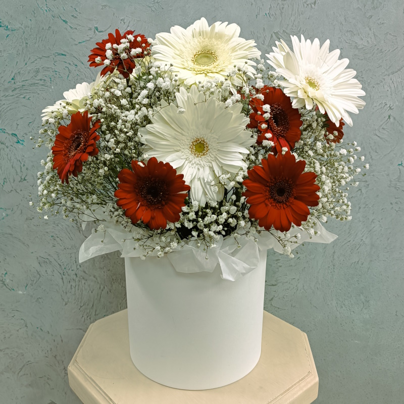 Гр-45 Коробка с герберами и гипсофилой