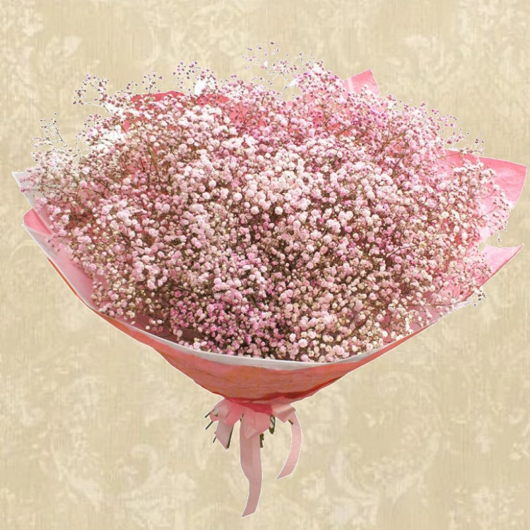 Г-50в Букет из гипсофилы