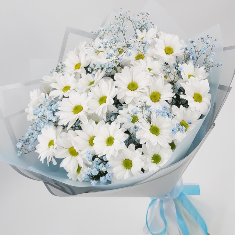 Д-40 Букет из хризантем и гипсофилы
