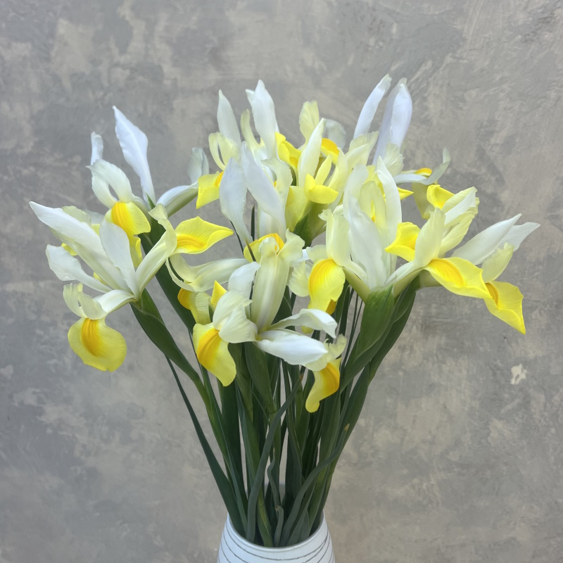 Ирисы желто-белые