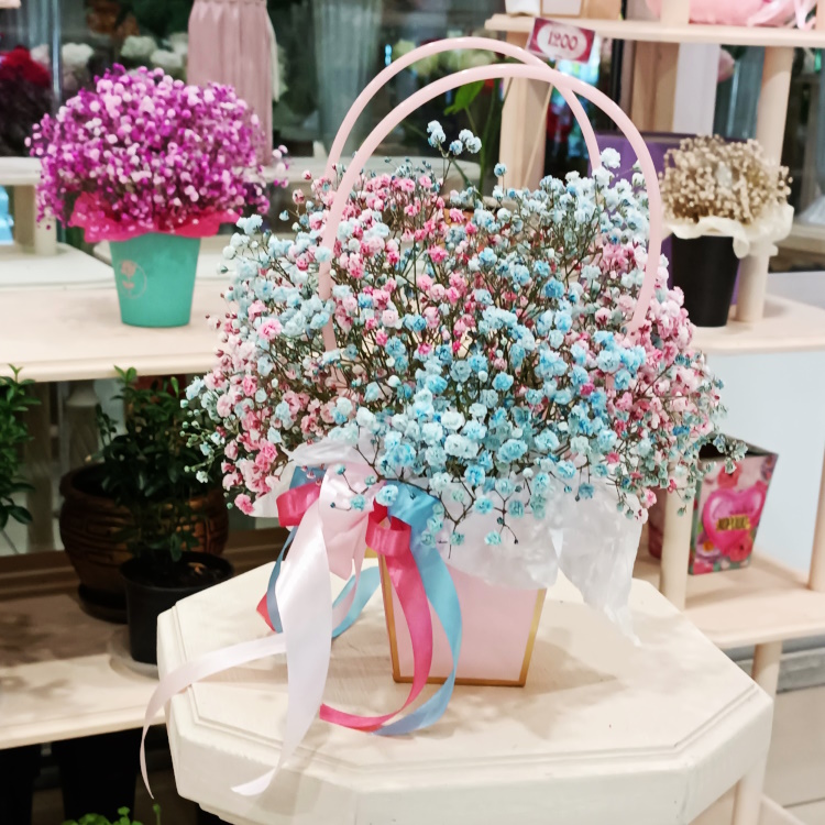 Кг-17 Сумочка с гипсофилой