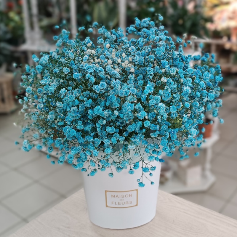 Кг-22 Коробочка с гипсофилой