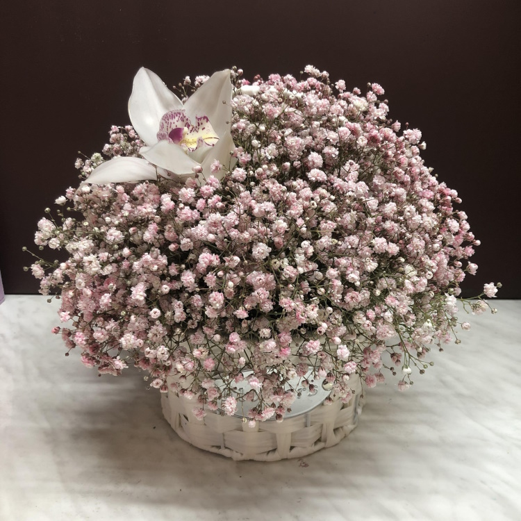 Кр-31 Корзинка с гипсофилой