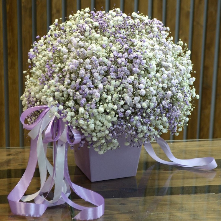 Кг-32 Коробочка с гипсофилой