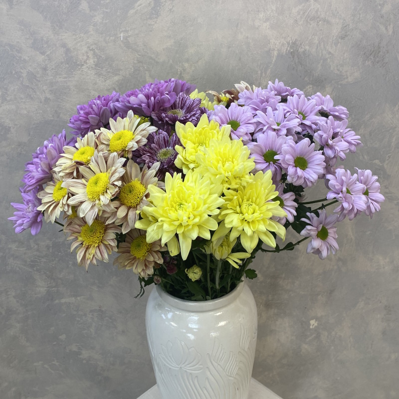 Хризантема кустовая микс