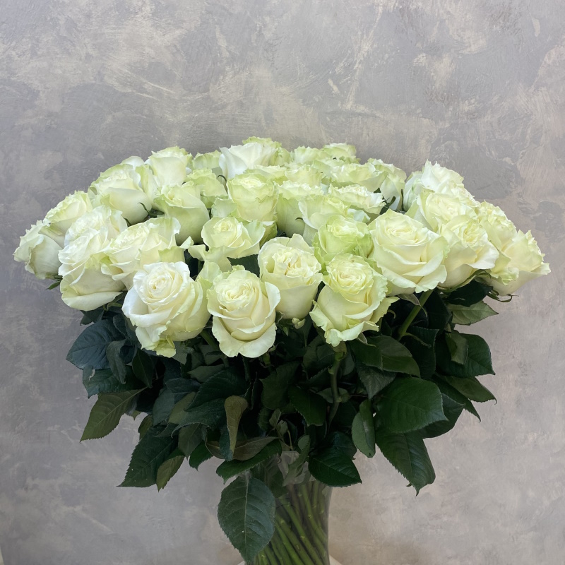 Роза Эквадора Мондиаль 70см.