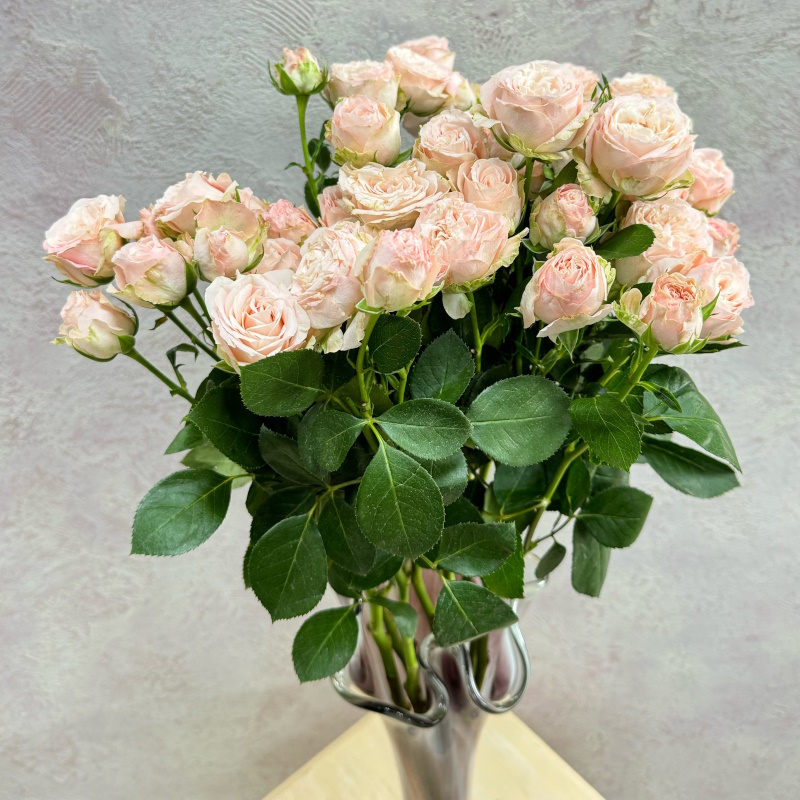 Кустовая роза Бомбастик 60см.