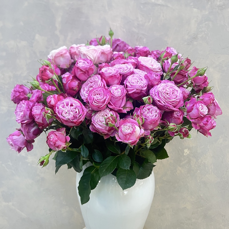 Кустовая роза Леди Бомбастик 60см.