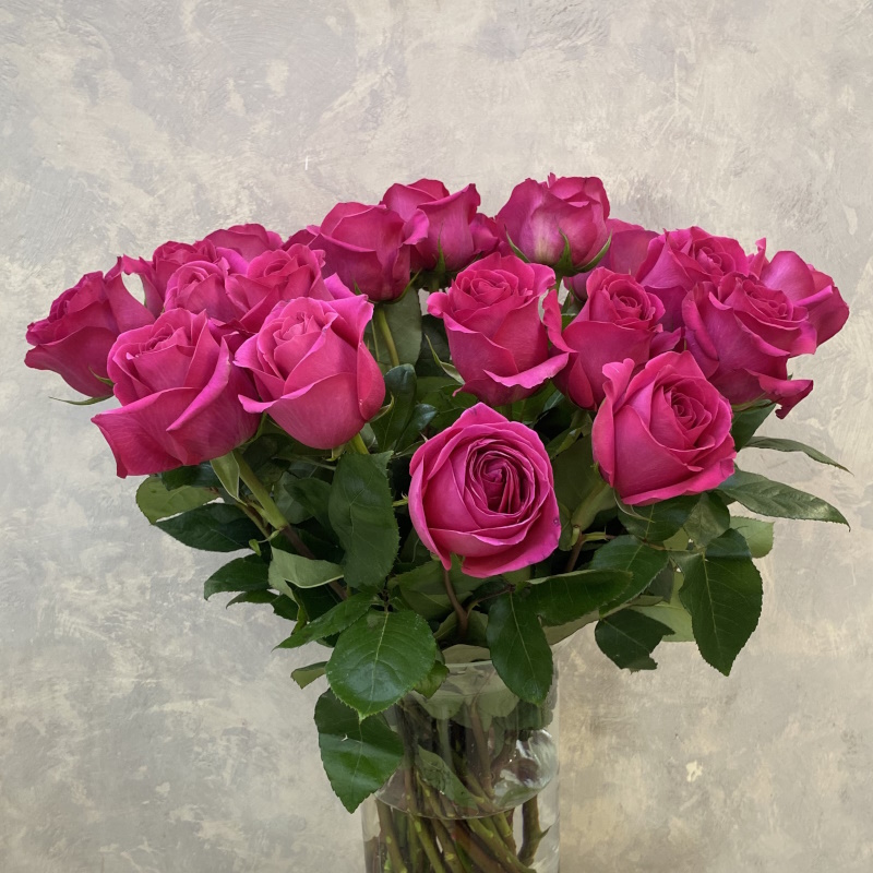 Роза Эквадора Пинк Флоид 70см.