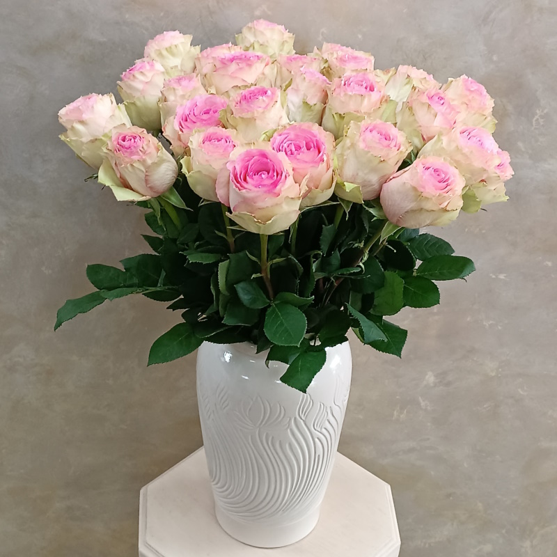 Роза Эквадора Эсперанса 70см.