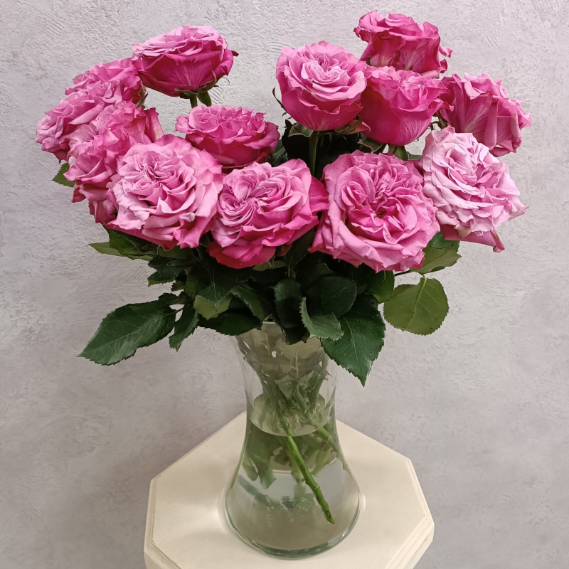 Роза Эквадора Кантри Блюз 70см.