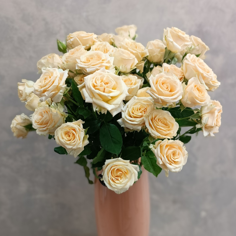 Кустовая роза Салинеро 60см.