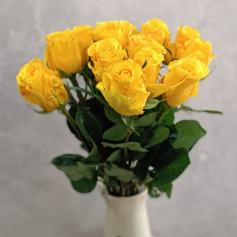 Роза Эквадора Лайтхаус 70см.