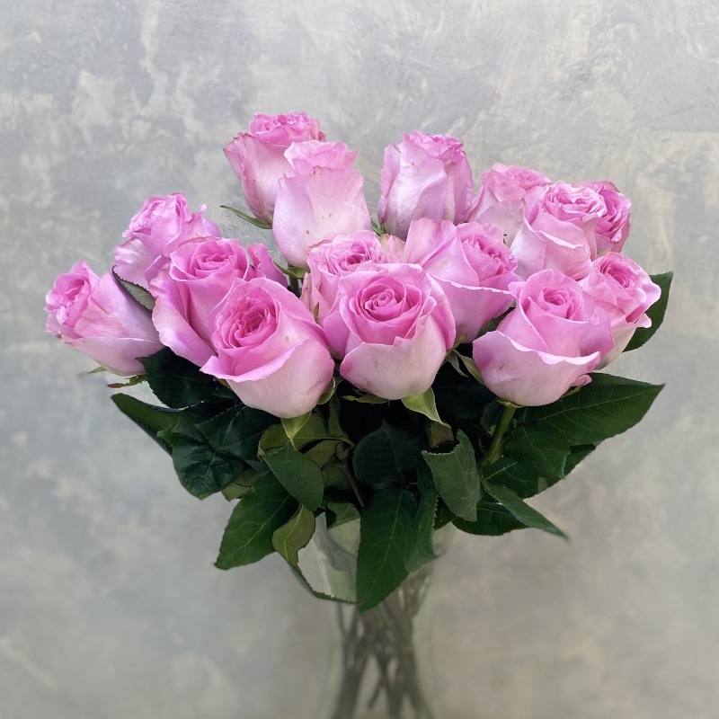 Роза Эквадора Мандала 70см.